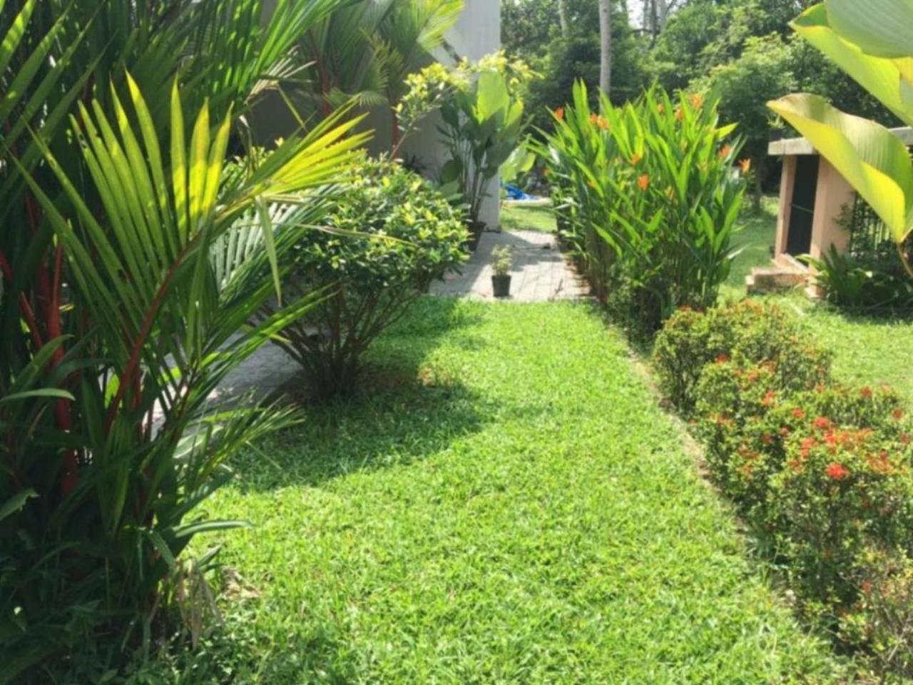 White Butterfly - A Countryside Homestay Thiruvananthapuram Exterior foto
